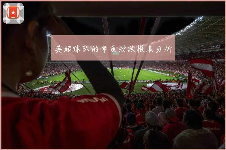 英超球队的年度财政报表分析